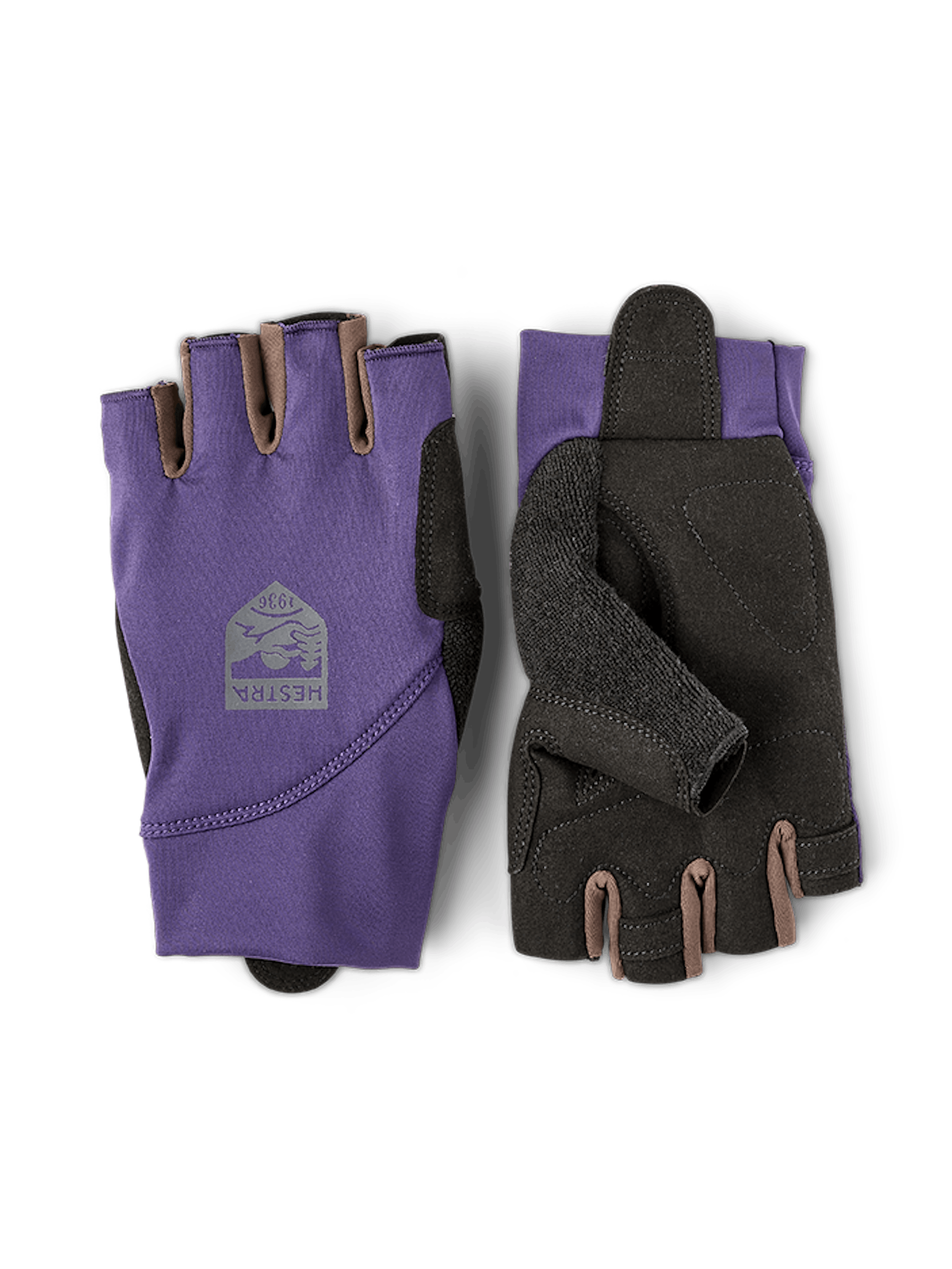 Apex Short in the color Plum (1 of 5)