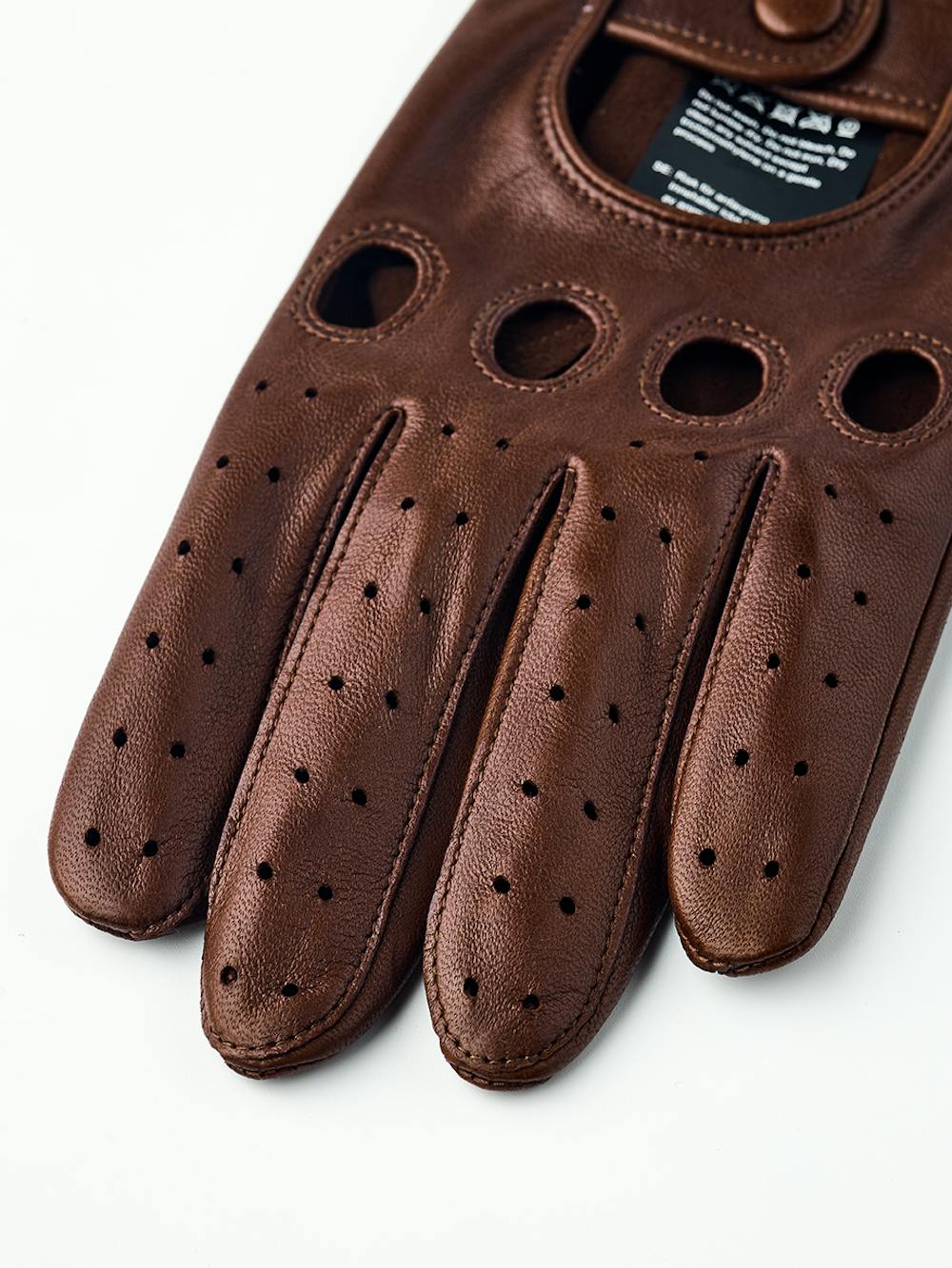 Morgan in the color Chestnut (3 of 5)