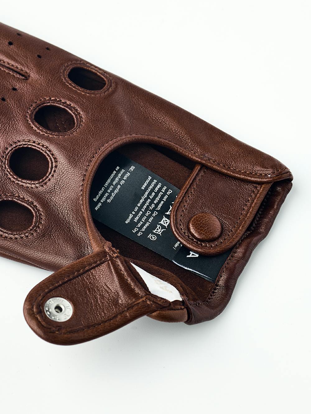 Morgan in the color Chestnut (4 of 5)