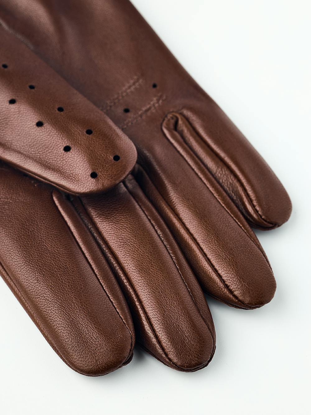 Morgan in the color Chestnut (5 of 5)