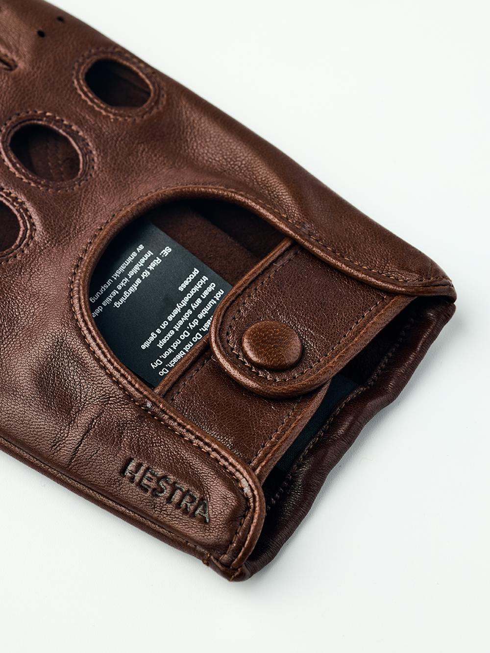 Morgan in the color Chestnut (2 of 5)