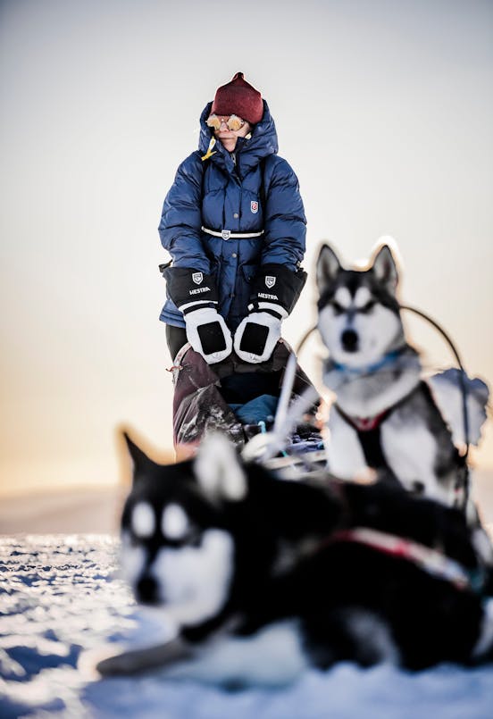 Alternative image for Sirius Polar Mitt