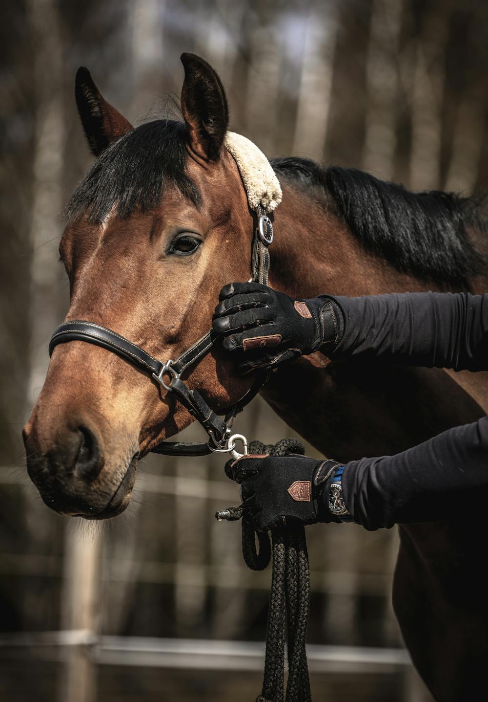 Black fabric riding glove with goat leather palm with touch function (6 of 6)