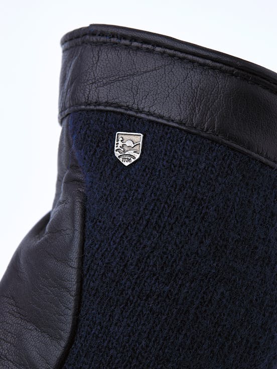 Alternative image for Saga