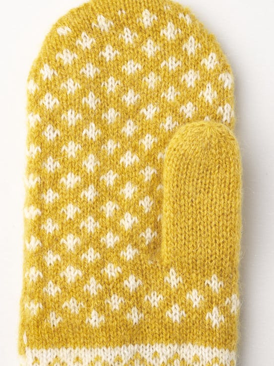 Alternative image for Nordic Jr. Mitt