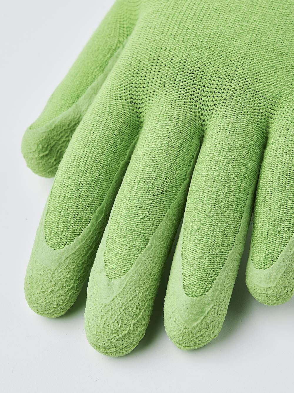 Garden Bamboo in the color Light green (2 of 4)