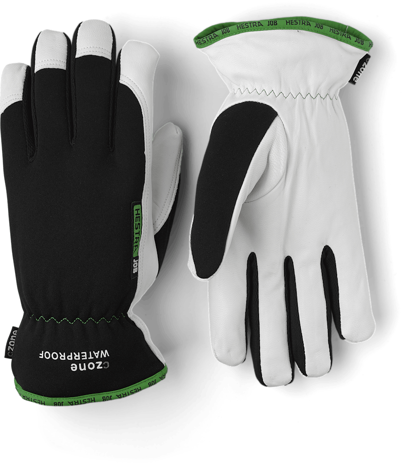 Kobolt CZone in the color Black (1 of 4)